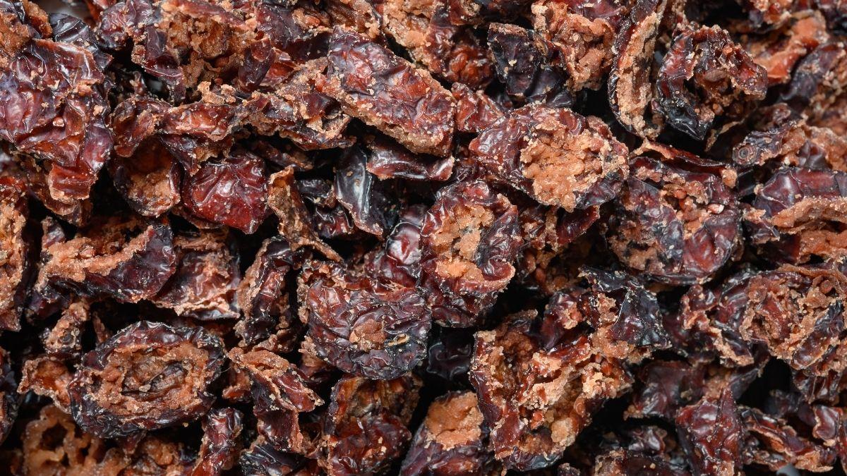 Dried out cranberries after their skin has popped