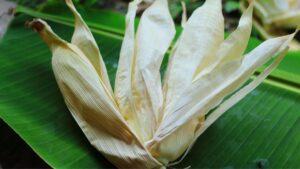 How To Dry Corn Husks For Crafts