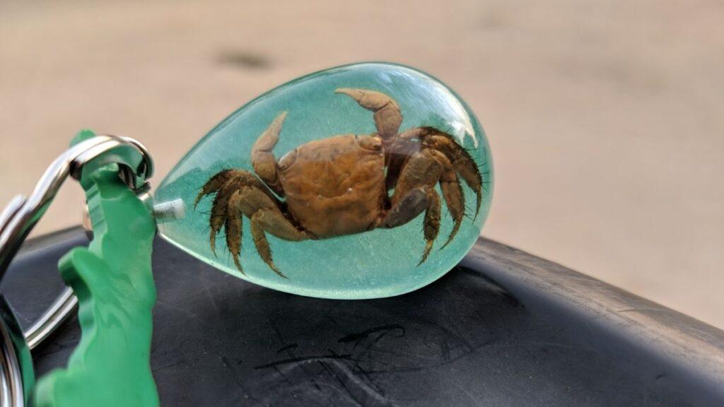 A creative keychain with a crab inside