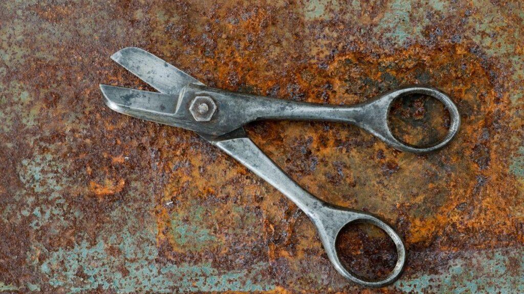 A pair of tin cutter scissors