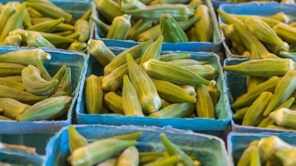 Boxes of Okra ready for use