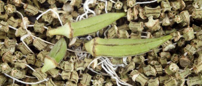 How To Dry Okra For Crafts