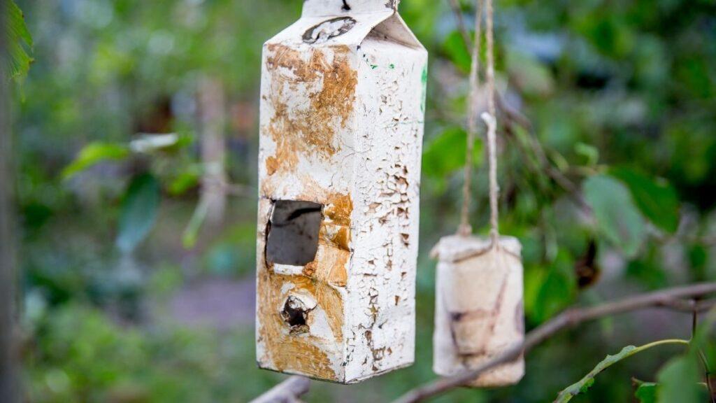a DIY bird feeder from a milk carton 