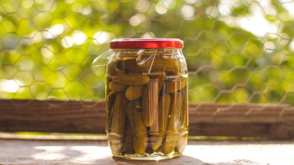 Jar of pickled pickles