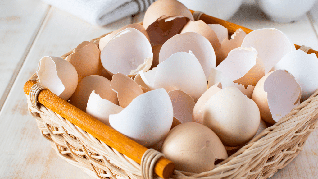 basket of clean egg shells