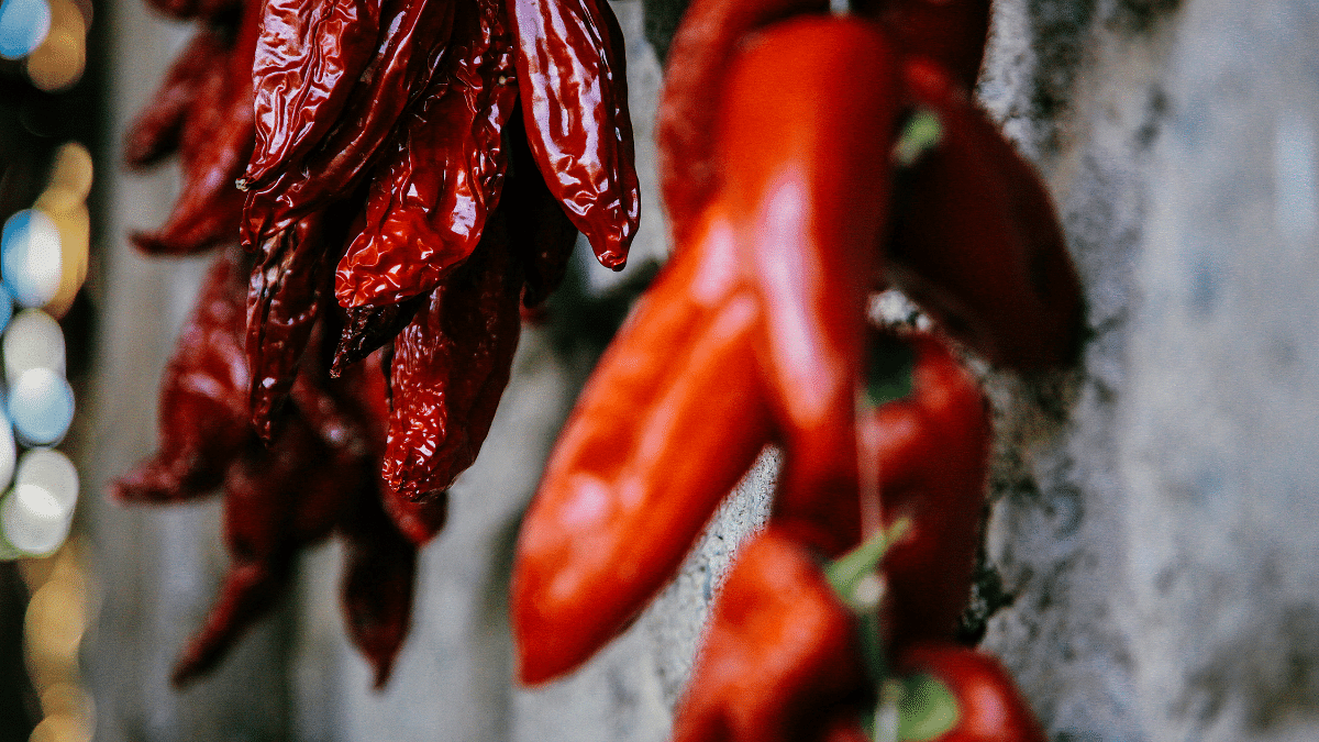 hanging peppers drying