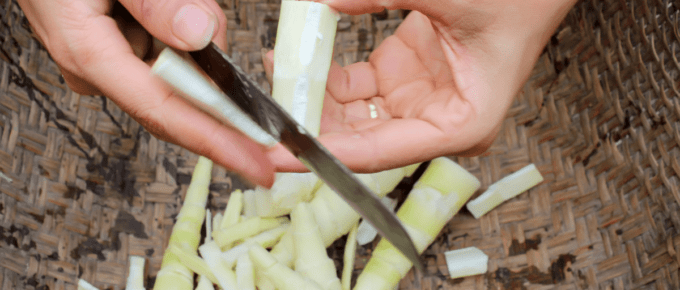 close up of female hands using a knife to cut bamboo shoots into a basket